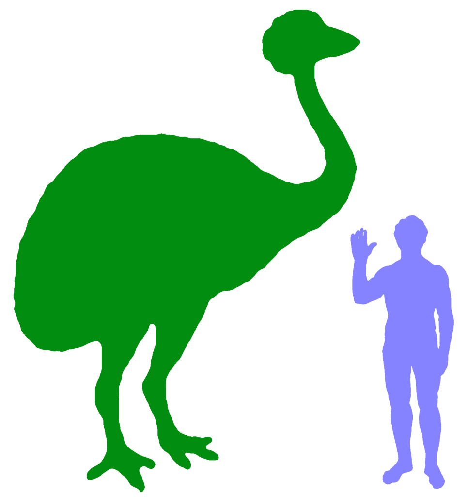 Elephant Bird – Big Animals